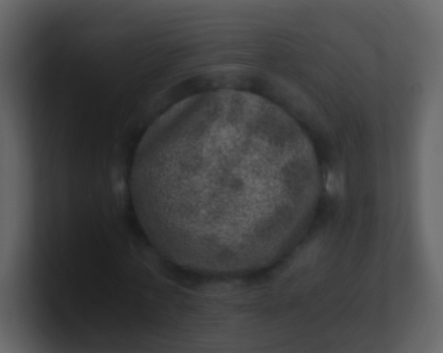 X0000100900771200807081102