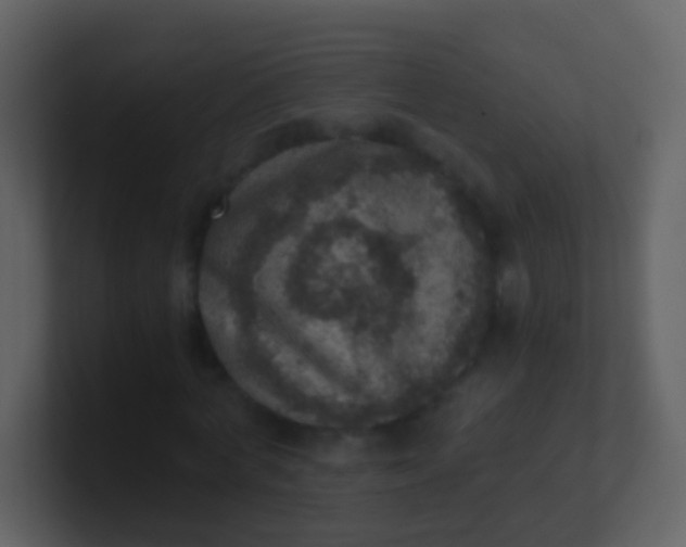 X0000100900772200807081102