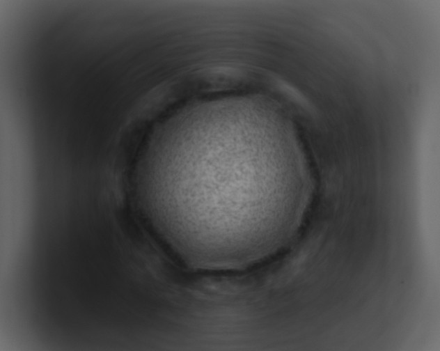 X0000100900774200807081102