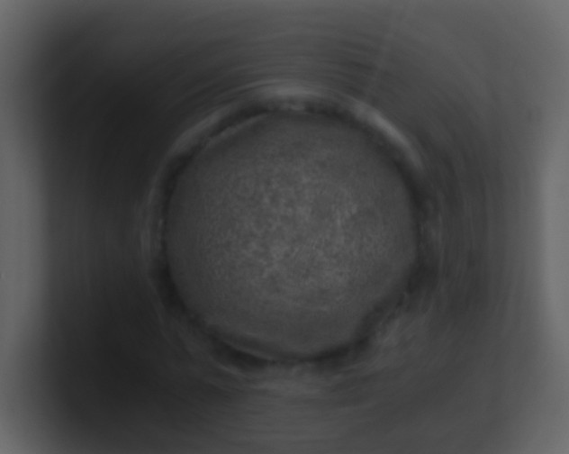 X0000100900775200807081102