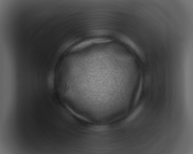 X0000100900778200807081102