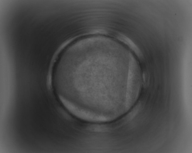 X0000100900780200807081102