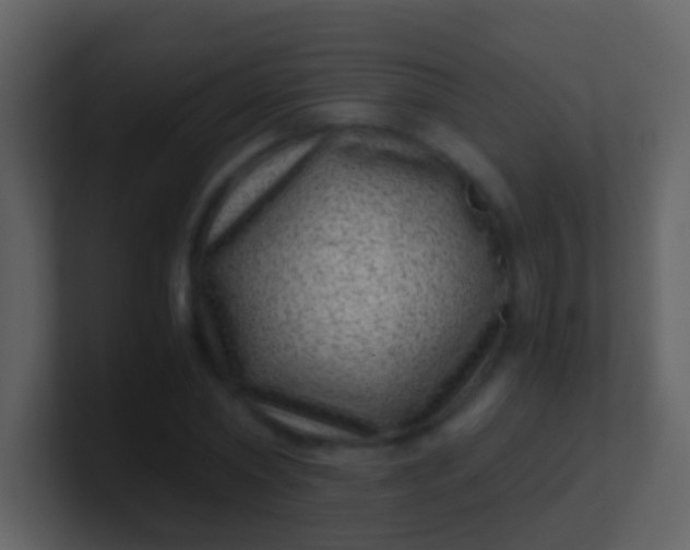 X0000100900782200807081102