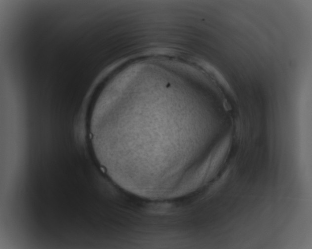 X0000100900784200807081102