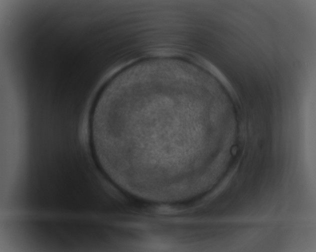 X0000100900787200807081102