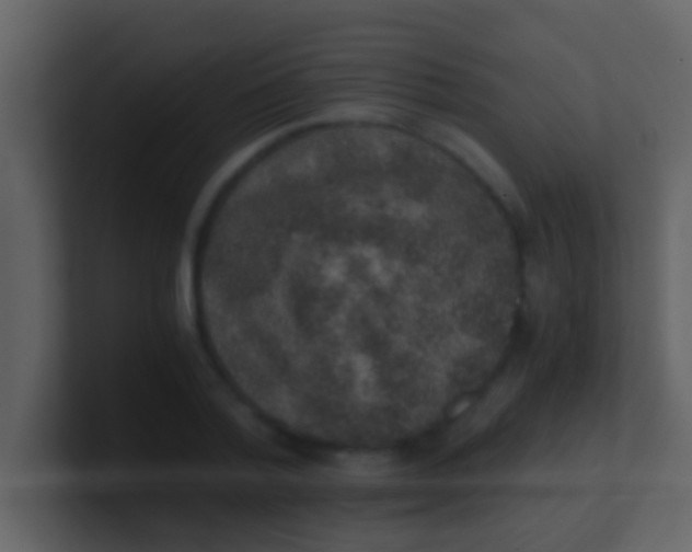 X0000100900788200807081102