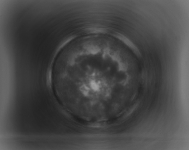 X0000100900790200807081102