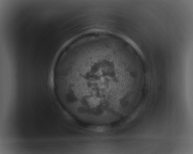 X0000100900791200807081101