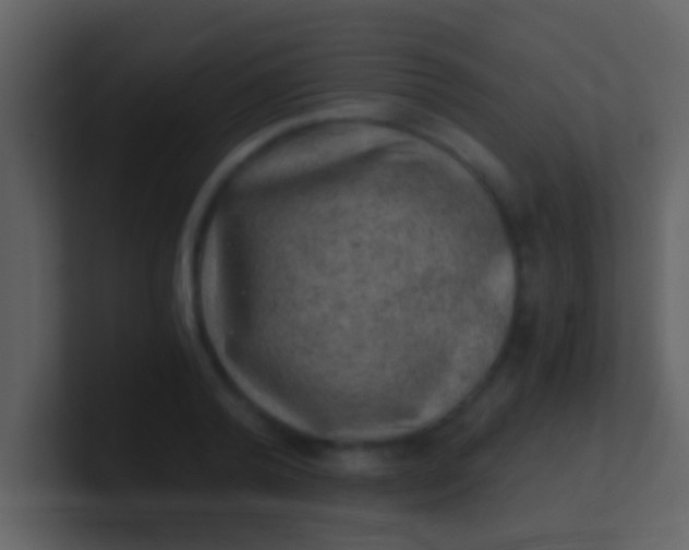 X0000100900792200807081101