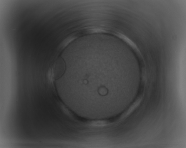 X0000100900793200807081101