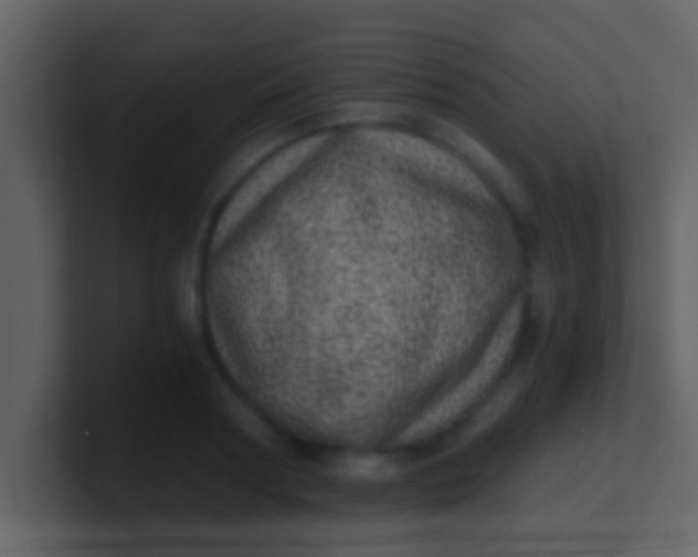 X0000100900794200807081101