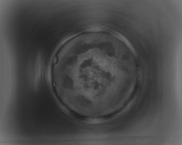 X0000100900795200807081101