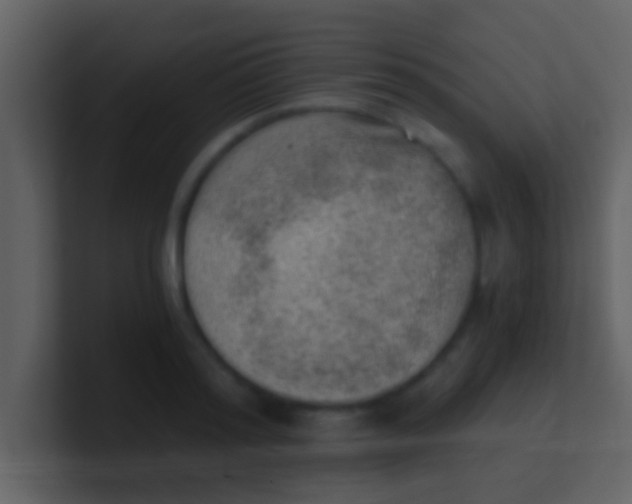 X0000100900796200807081101