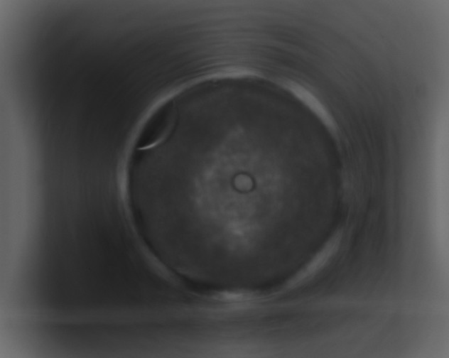 X0000100900797200807081101