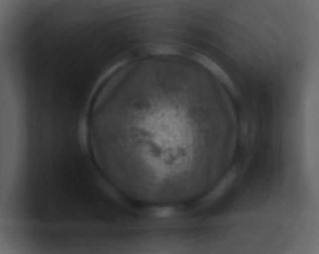 X0000100900798200807081101