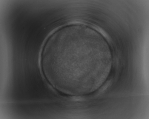 X0000100900799200807081101