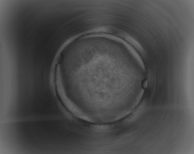 X0000100900800200807081101