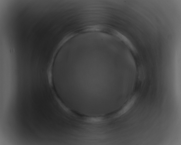 X0000100900802200807081101