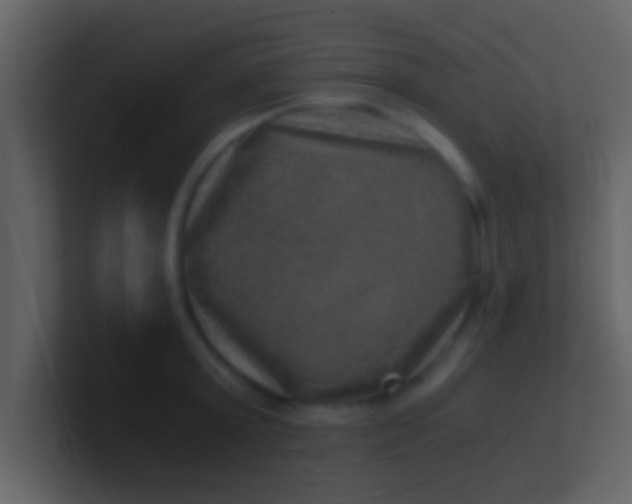 X0000100900803200807081101