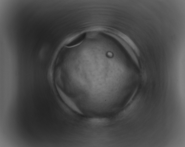 X0000100900805200807081101