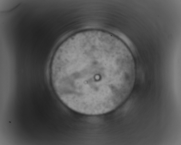 X0000100900807200807081101