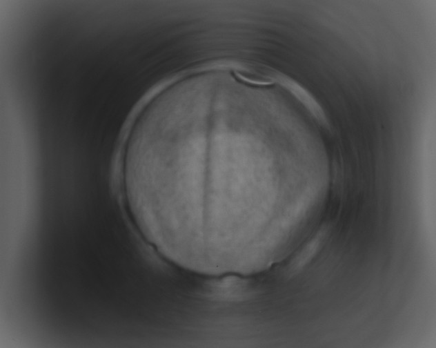 X0000100900808200807081101