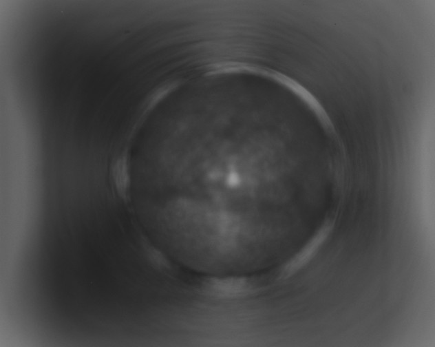 X0000100900809200807081101