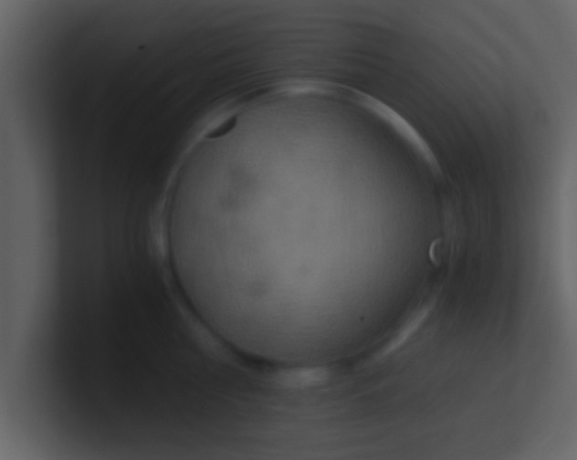 X0000100900810200807081101