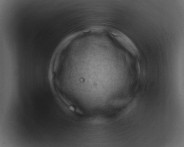 X0000100900811200807081101