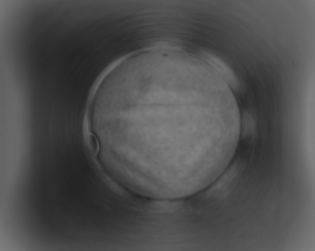 X0000100900812200807081101