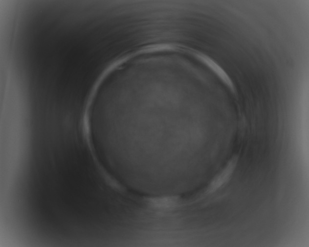 X0000100900813200807081101