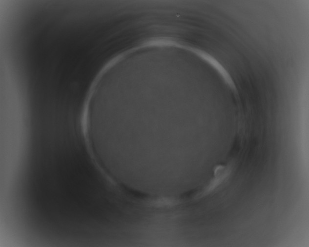 X0000100900815200807081101