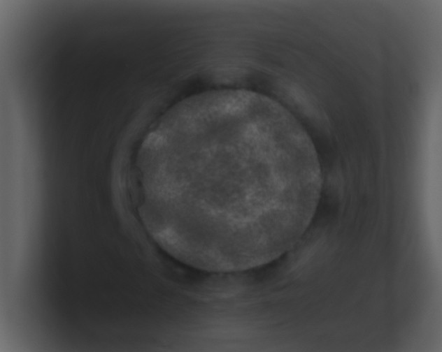 X0000100900817200807081100