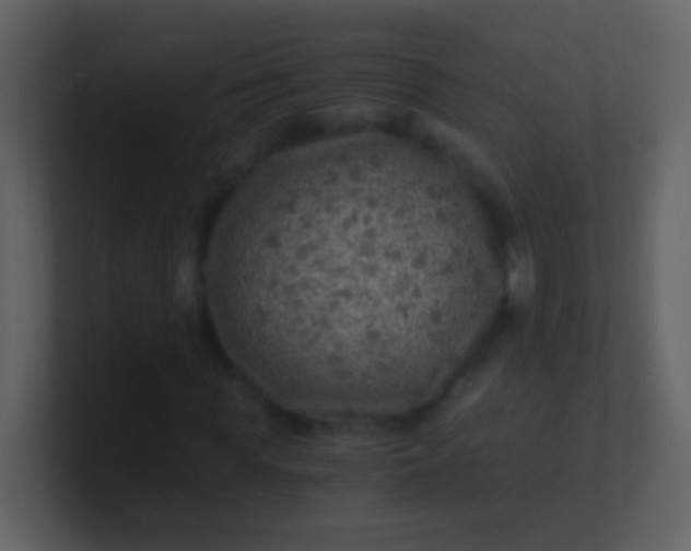 X0000100900819200807081101