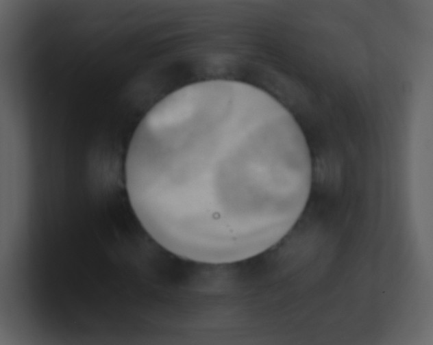 X0000100900820200807081101