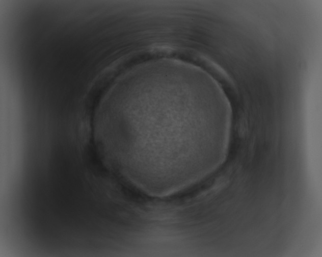 X0000100900821200807081101