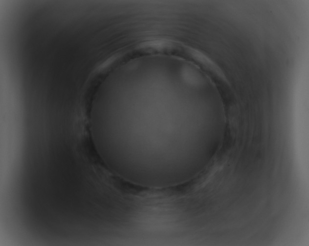 X0000100900822200807081101