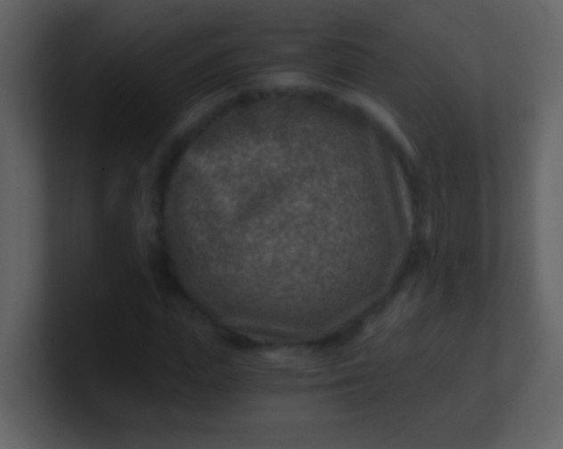 X0000100900823200807081101