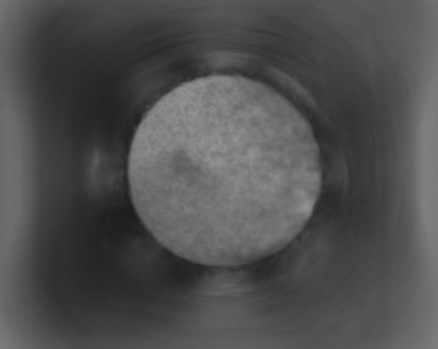 X0000100900824200807081101