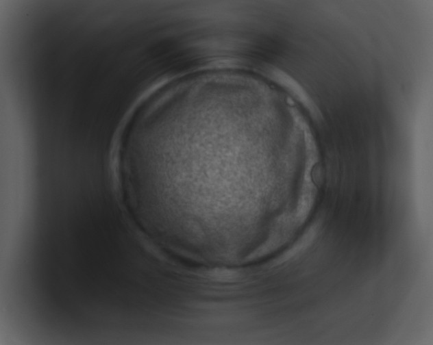 X0000100900827200807081101