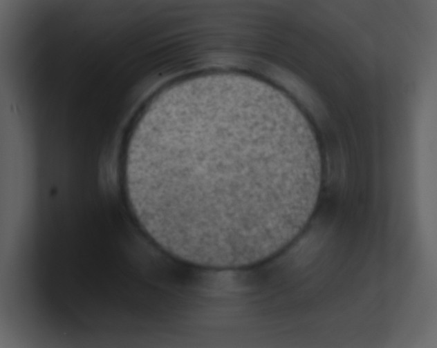 X0000100900828200807081101