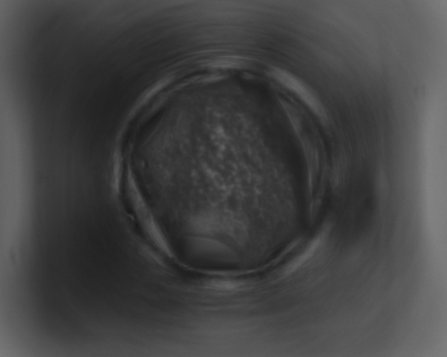 X0000100900829200807081101