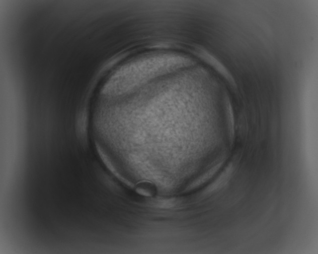 X0000100900831200807081101