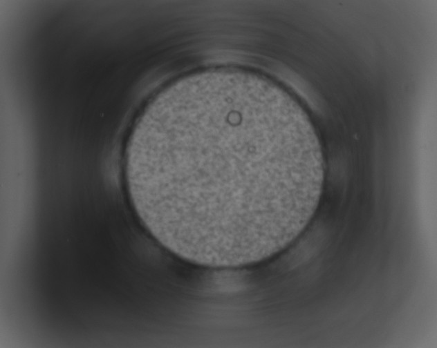 X0000100900832200807081101