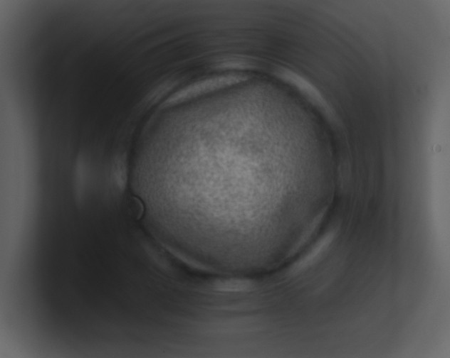 X0000100900833200807081101