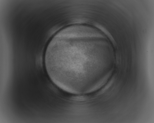 X0000100900834200807081101