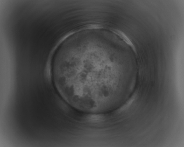 X0000100900835200807081101