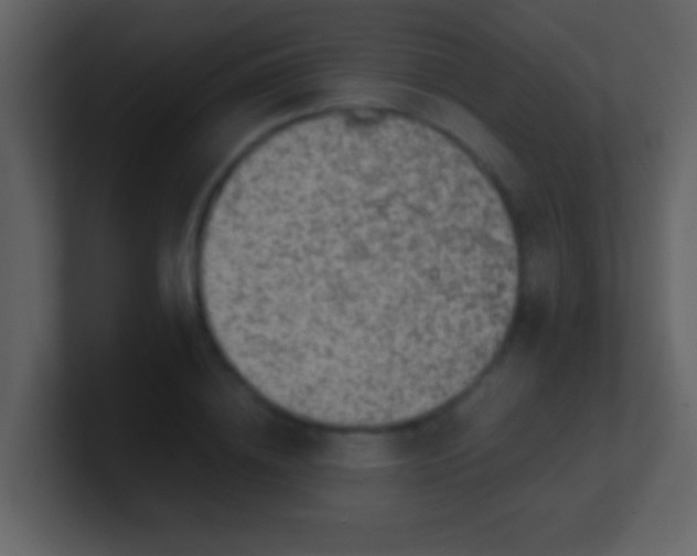 X0000100900836200807081101