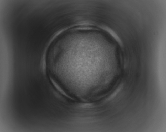 X0000100900837200807081101