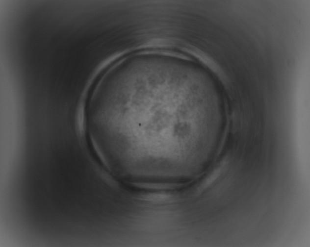 X0000100900838200807081101